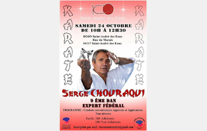 Stage Serge Chouraqui 