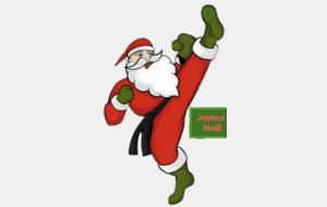 🎄Joyeux Noël à tous🎄