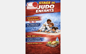Stage Judo- vacances d'hiver