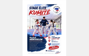 Stage Kumité CDK44