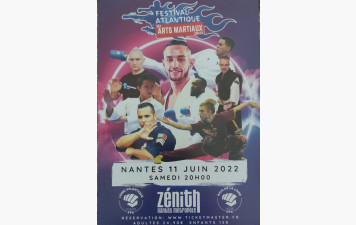 GALA DES ARTS MARTIAUX 
